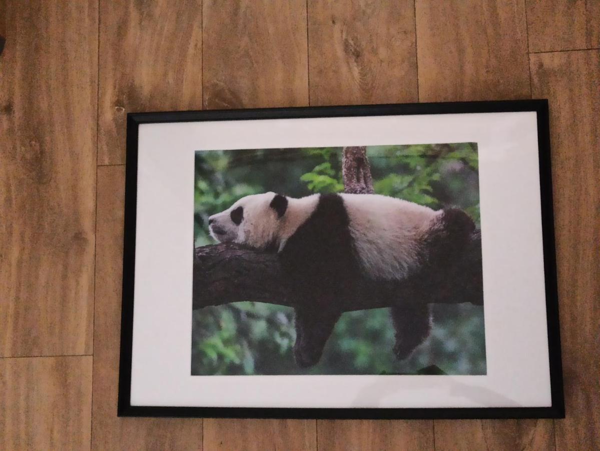 A 4 Min Du Zoo De Beauval La Maison A Partager Ch2 1Er Etage 상테뇽 외부 사진