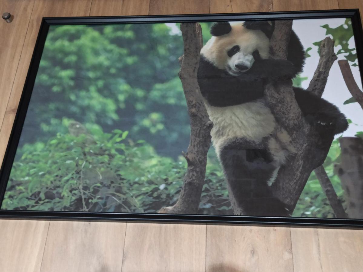 A 4 Min Du Zoo De Beauval La Maison A Partager Ch2 1Er Etage 상테뇽 외부 사진